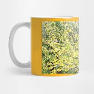 Yellow flowering bush. Beautiful nature, photo Mug